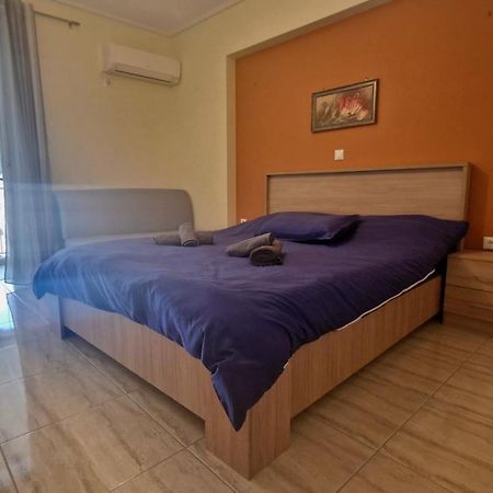 Athens Luxury Home * Private Parking * Attica Metro Station Zewnętrze zdjęcie